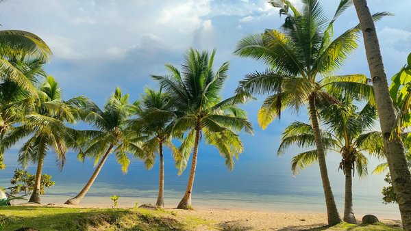 Découvrez 10 restaurants insolites à paris à essayer absolument